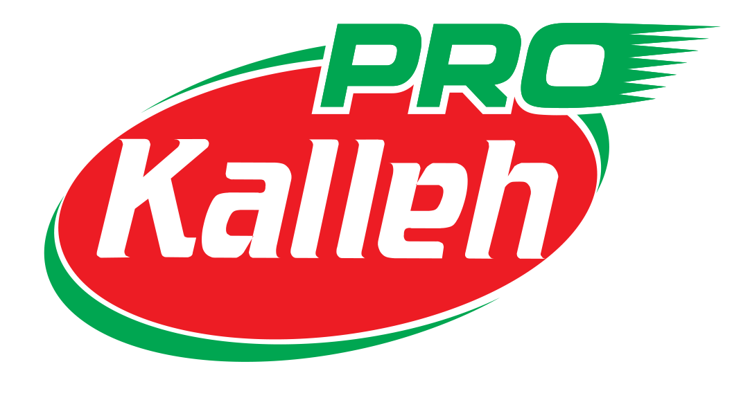 Sponsor 5